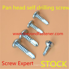 Screw in Stock Self Tapping Screw Roofing Screw